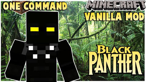 Black Panther Command Block 1