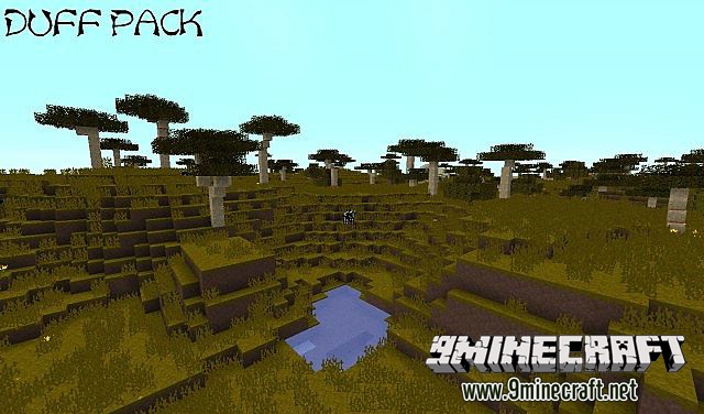 DuffPack Resource Pack 6