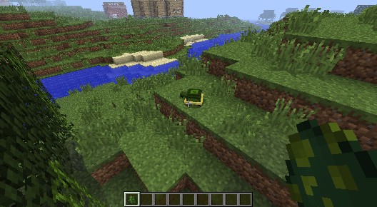 Pet Turtles Mod 1.7.10 2