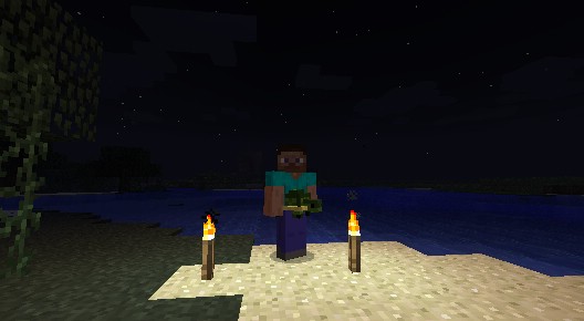 Pet Turtles Mod 1.7.10 5