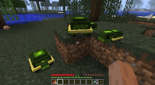 Pet-Turtles-Mod-5.jpg