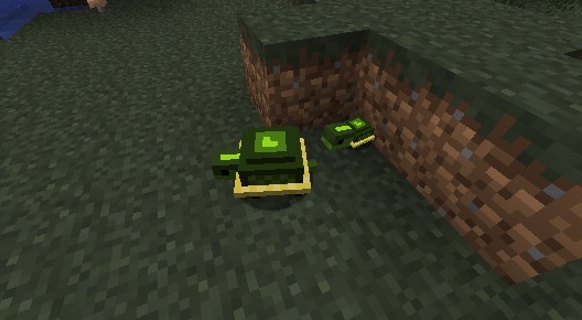 Pet Turtles Mod 1.7.10 7