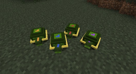 Pet-Turtles-Mod-7.jpg