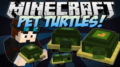 Pet-Turtles-Mod.jpg