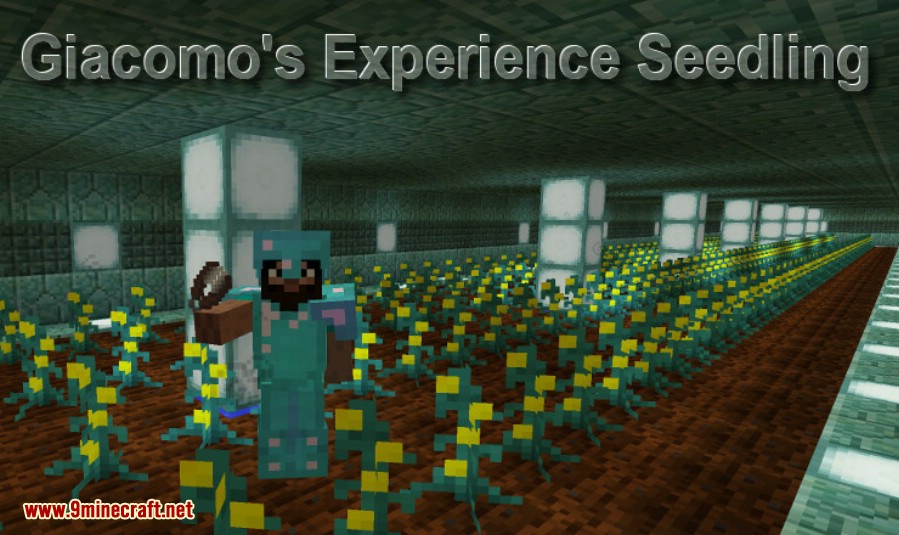 Experience Seedling Mod (1.20.2, 1.19.4) - The Seeds are Very Expensive 2